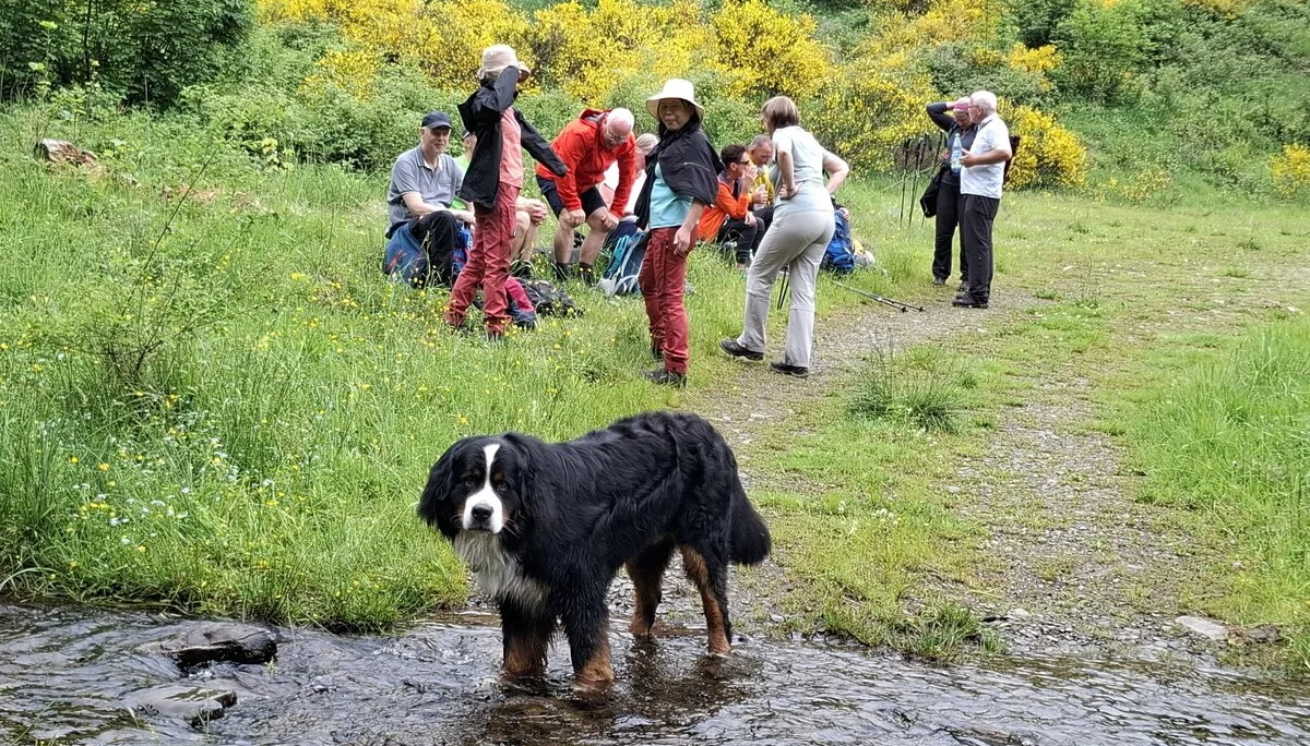 Bergfreunde unterwegs | © Harald Frank