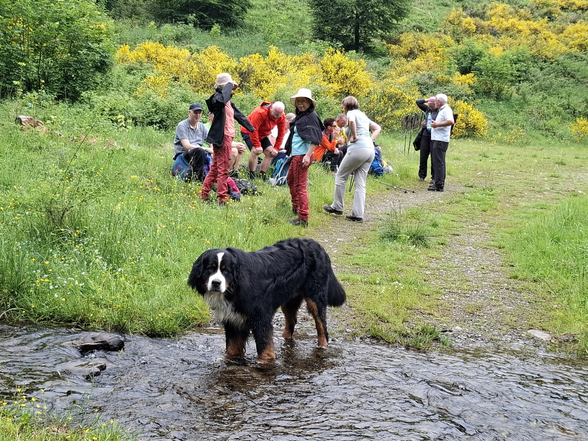 Bergfreunde unterwegs | © Harald Frank