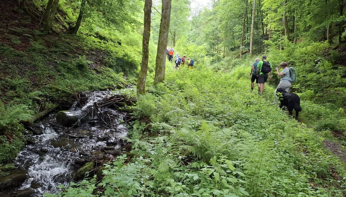 Bergfreunde unterwegs | © Harald Frank