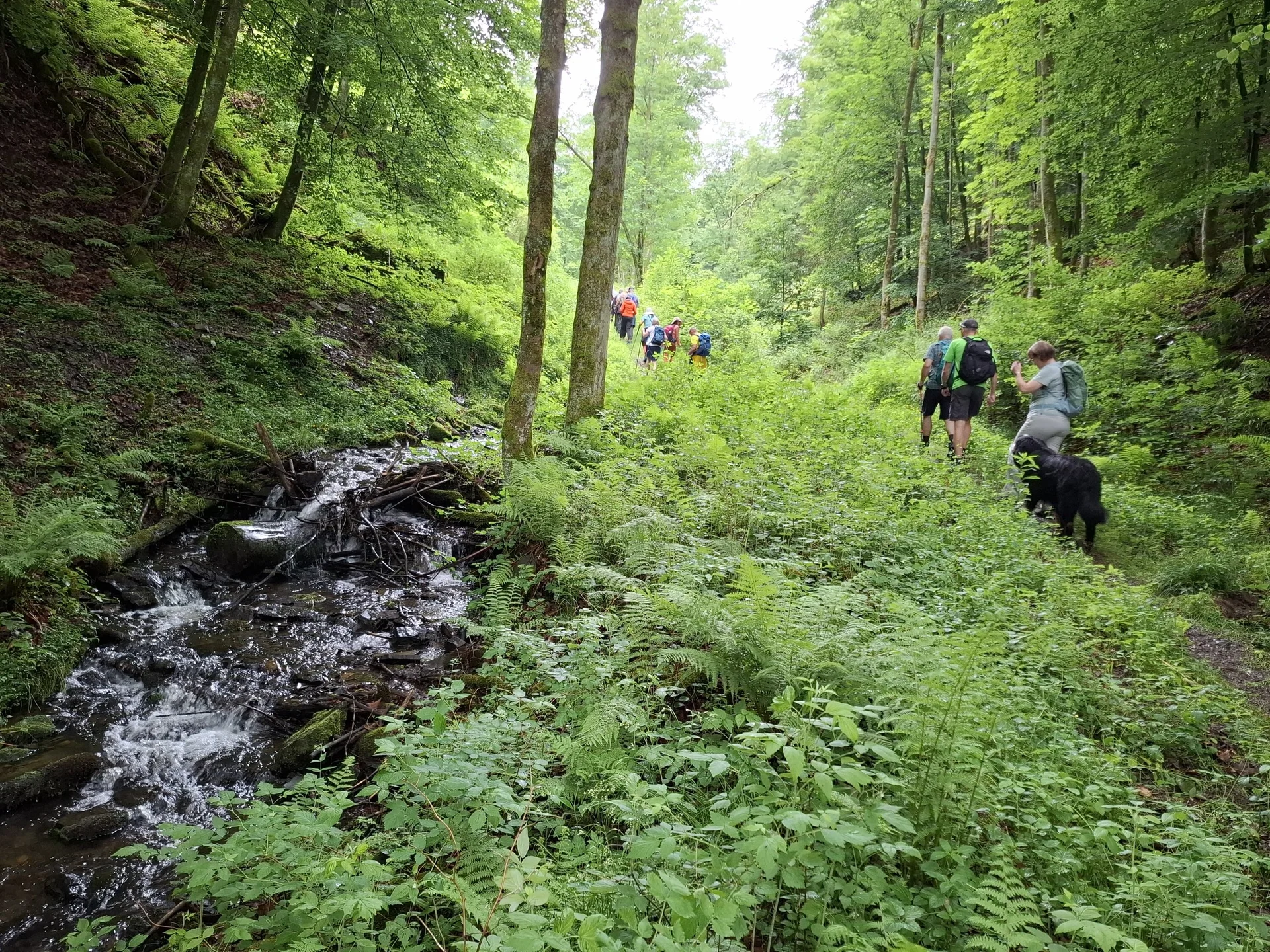 Bergfreunde unterwegs | © Harald Frank