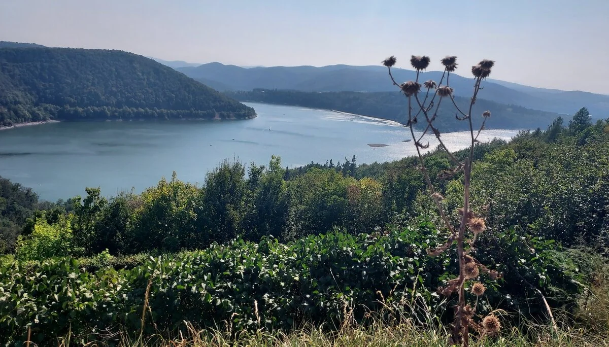 © Hans Günter Reuschenbach