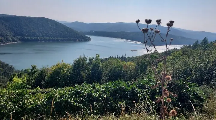 © Hans Günter Reuschenbach