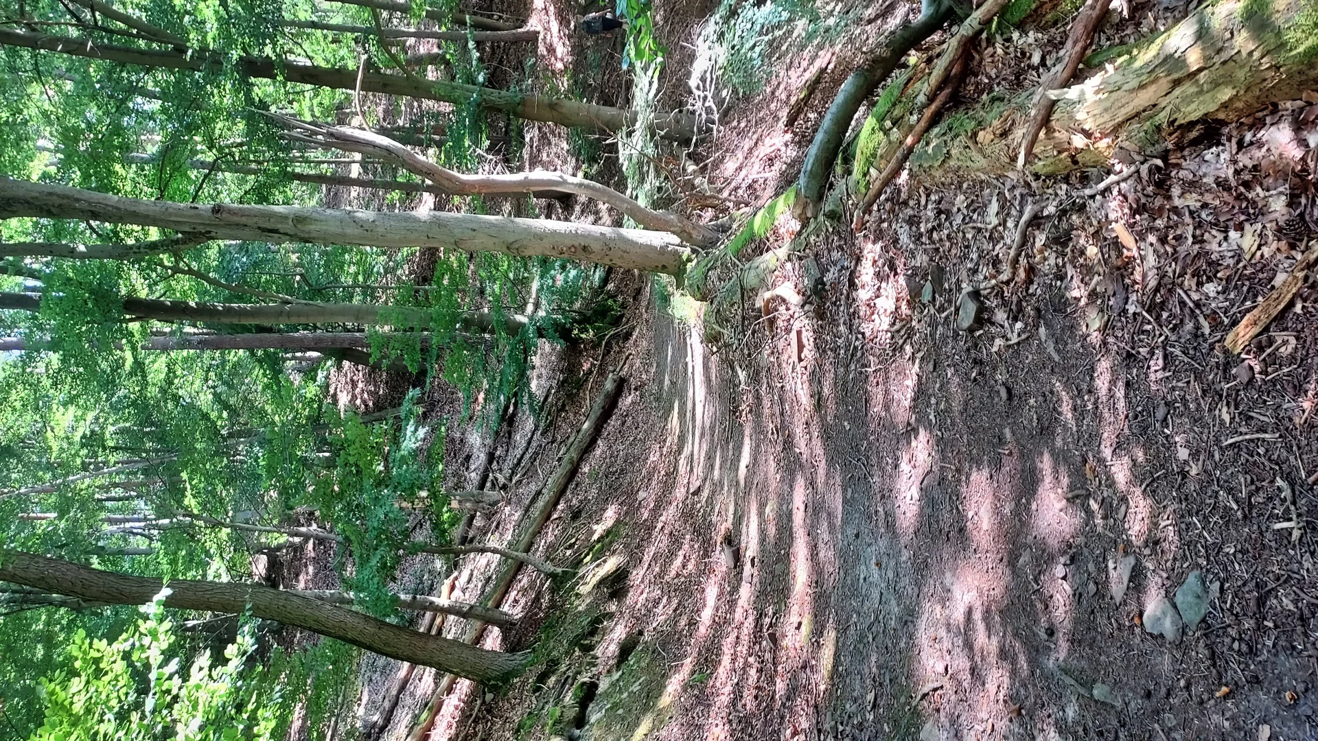 © Hans Günter Reuschenbach