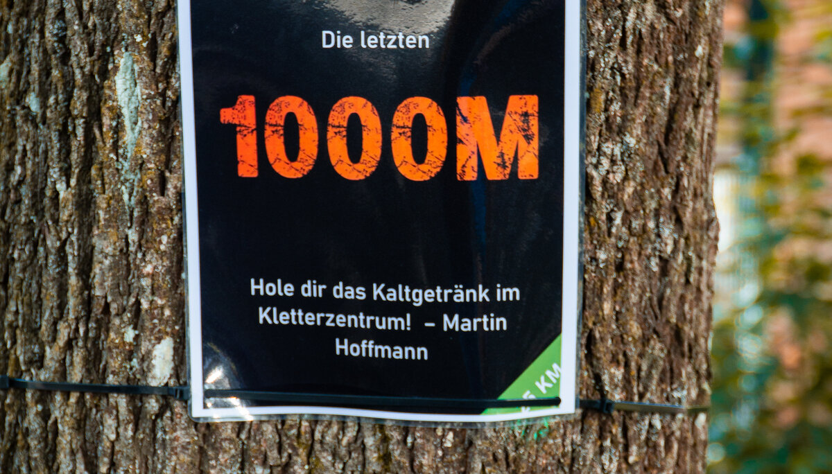 © Niklas Sauer © Niklas Sauer