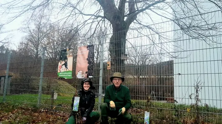 Pflanzaktion_Kletterzentrum | © DAV Kletterzentrum Siegerland