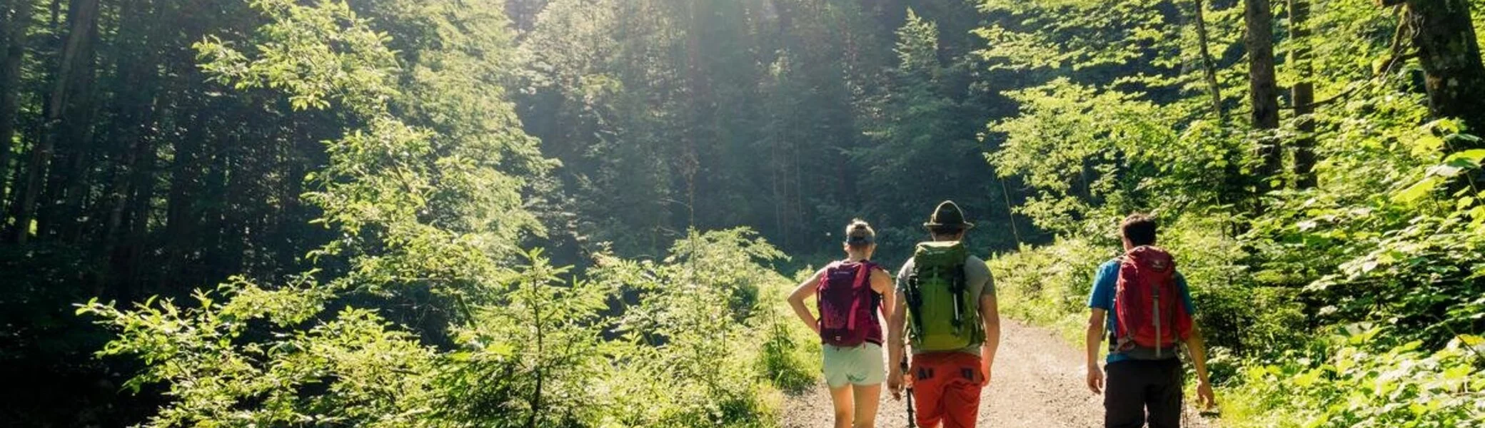 DAV Wandern | © DAV/Hans Herbig