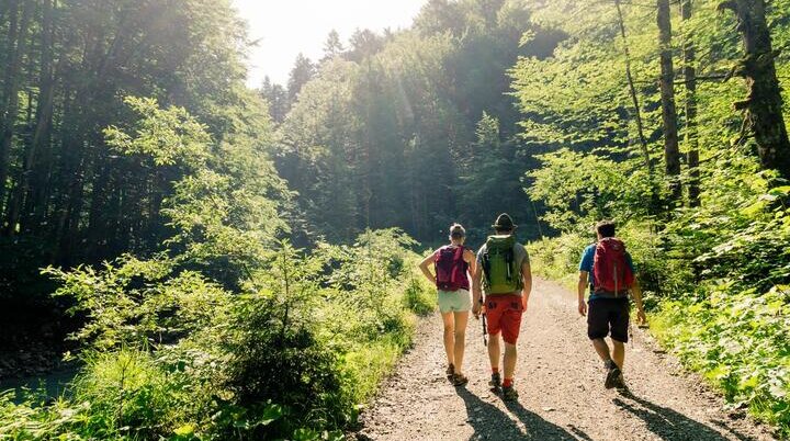 DAV Wandern | © DAV/Hans Herbig