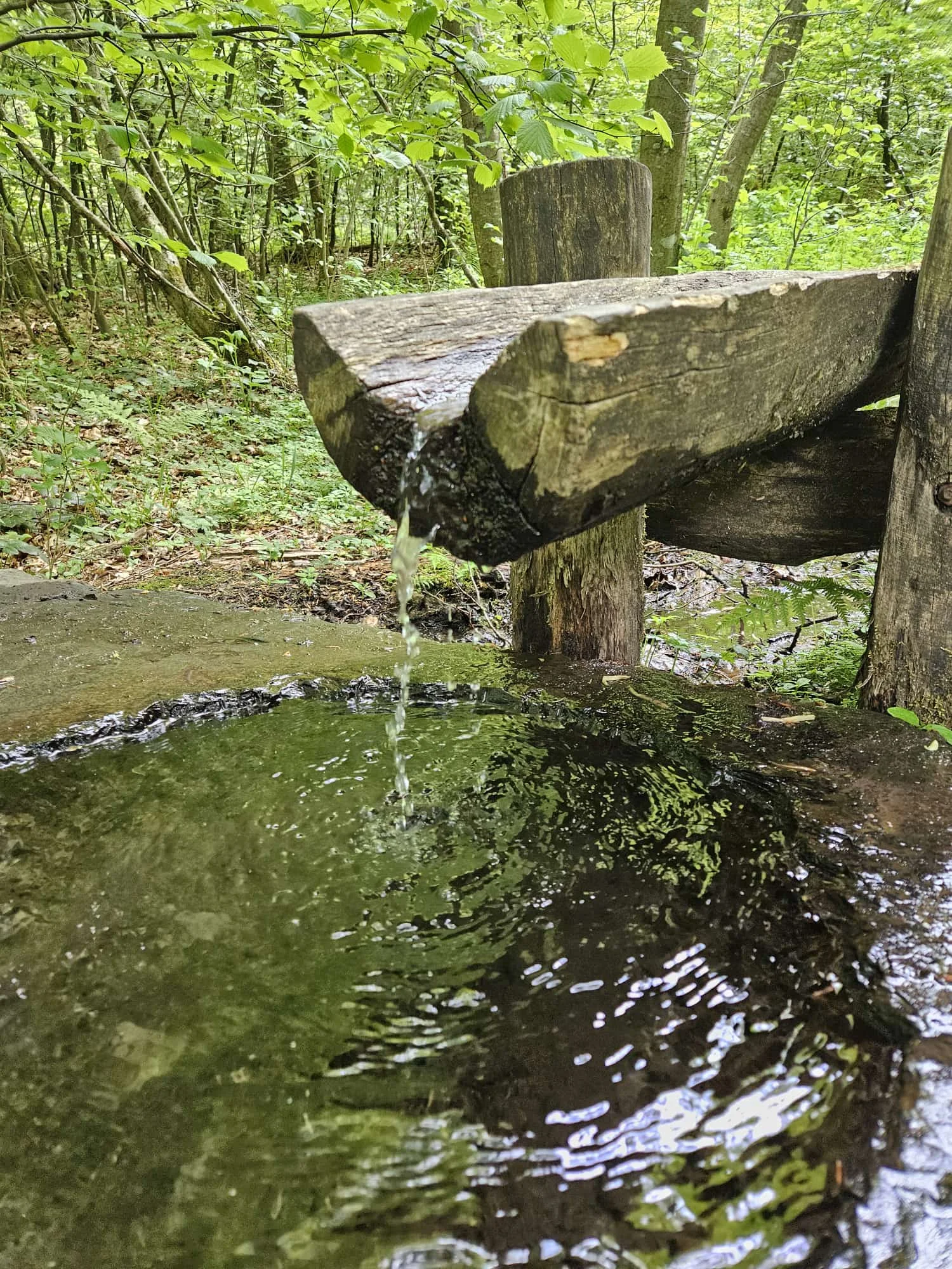 DAV Siegerland MTB Siegerfahrung  | © Karl-Heinz-Dentler/DAV Siegerland 