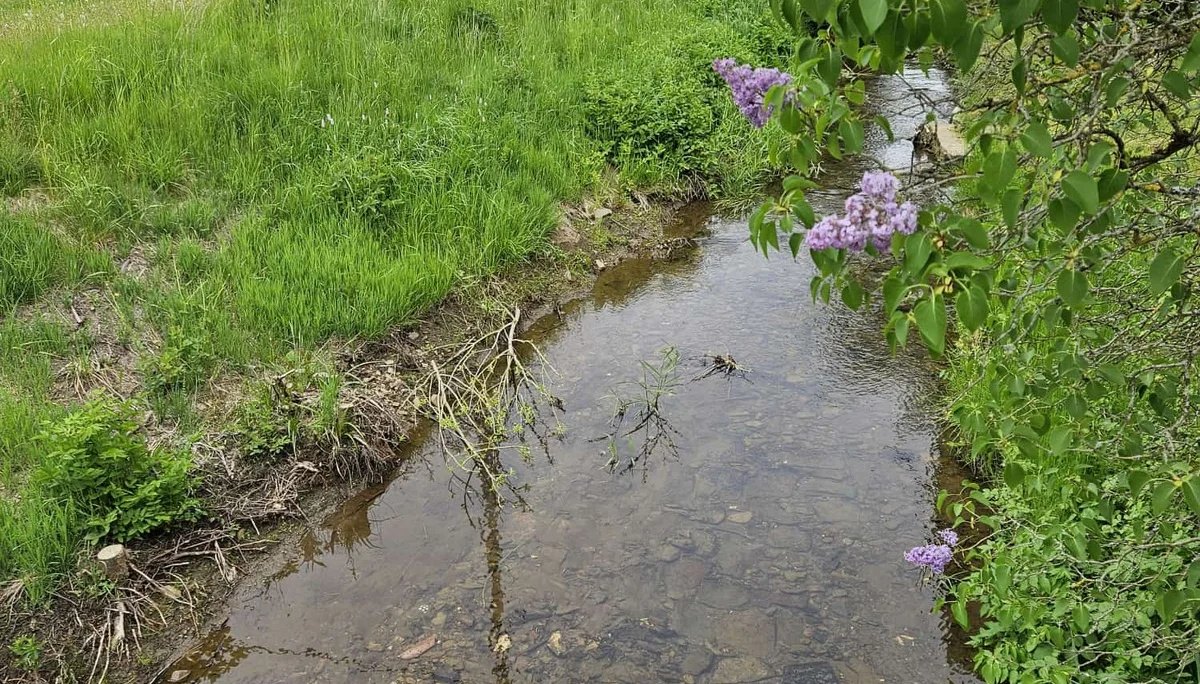 DAV Siegerland MTB Siegerfahrung  | © K-H Dentler/DAV Siegerland 