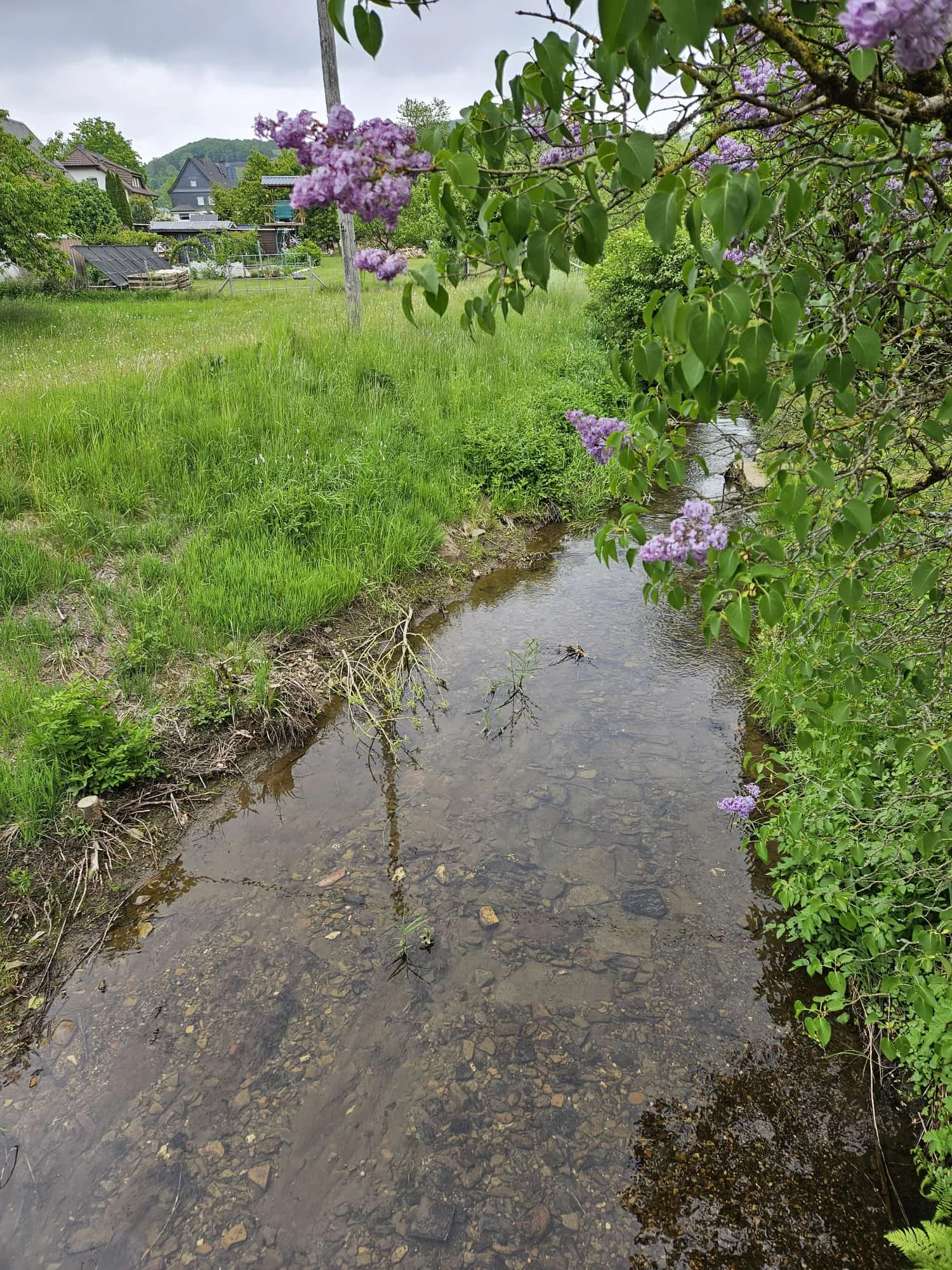 DAV Siegerland MTB Siegerfahrung  | © K-H Dentler/DAV Siegerland 