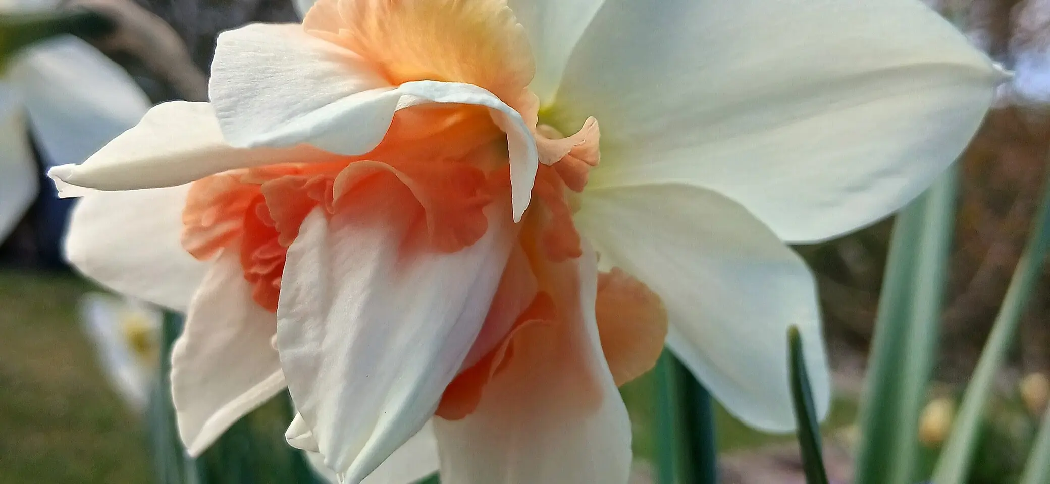 Frohe Ostern | © C. Weber/DAV Siegerland