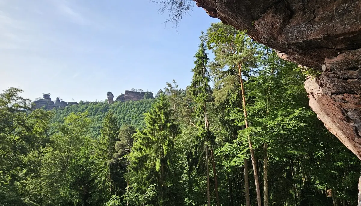 Klettern im Pfälzer Wald | © Fabian Moos