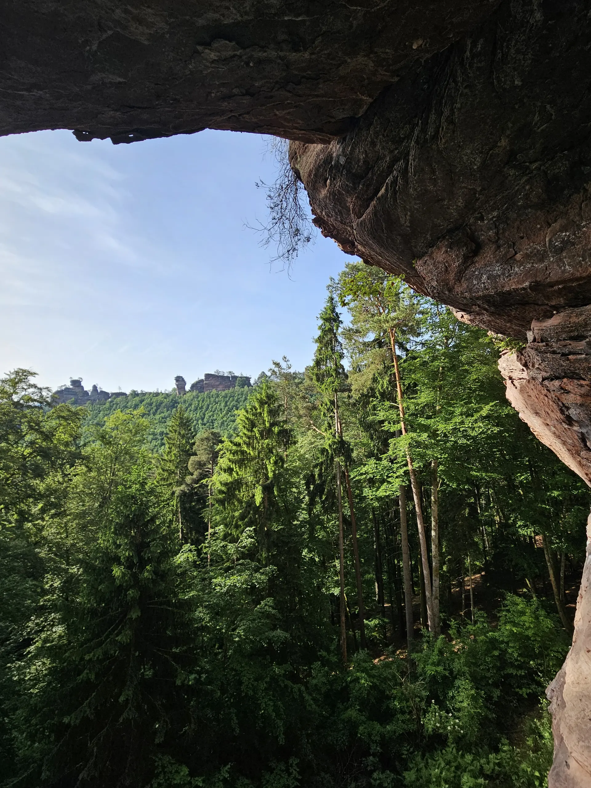 Klettern im Pfälzer Wald | © Fabian Moos