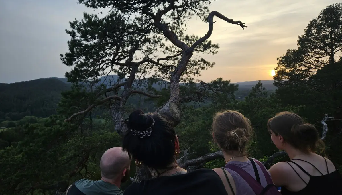 Klettern im Pfälzer Wald | © Fabian Moos
