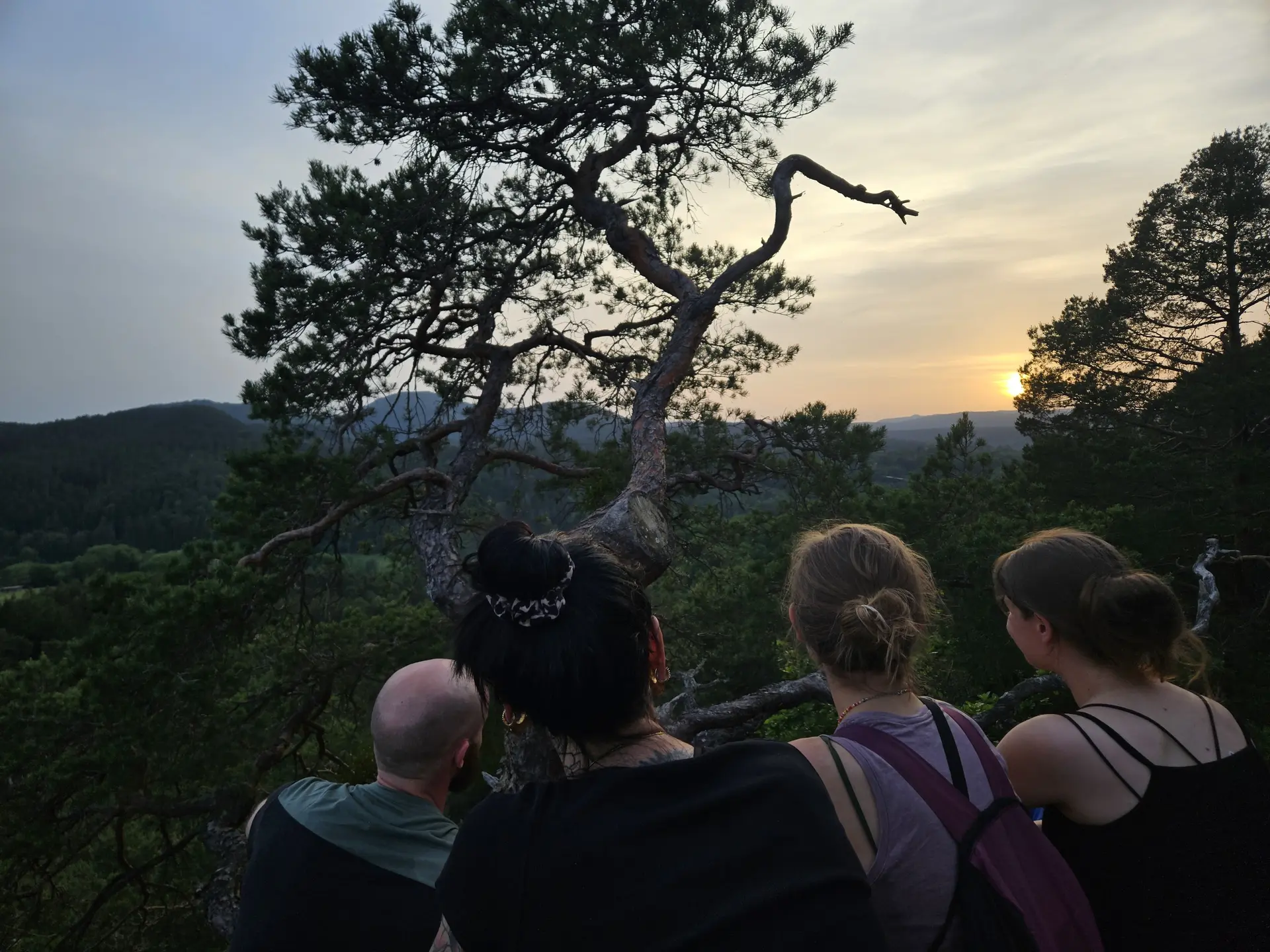 Klettern im Pfälzer Wald | © Fabian Moos