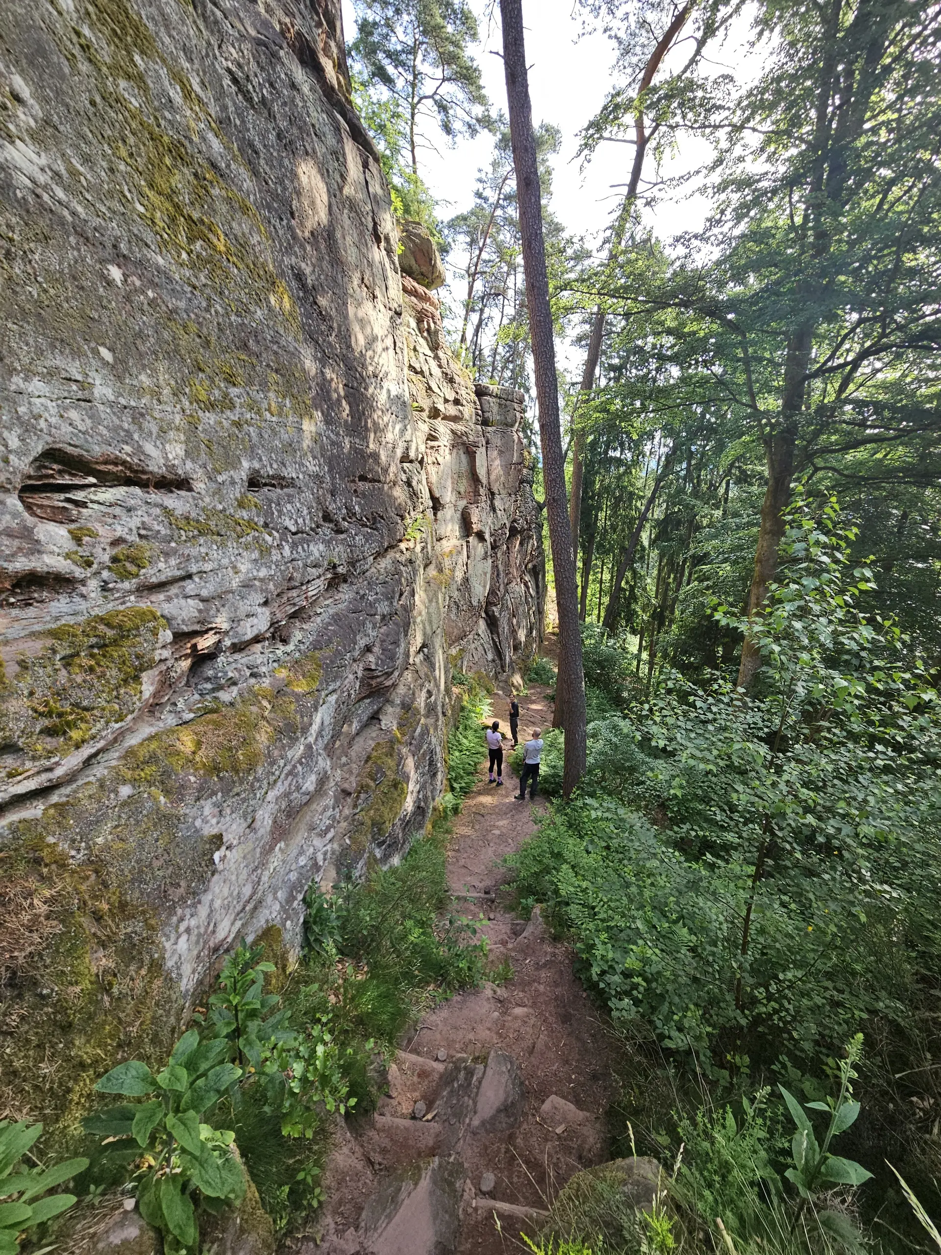 Klettern im Pfälzer Wald | © Fabian Moos
