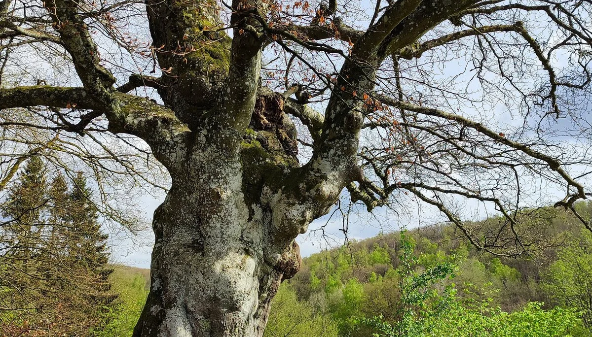 Wandern mit der DAV Sektion Siegerland | © Sektion/CW