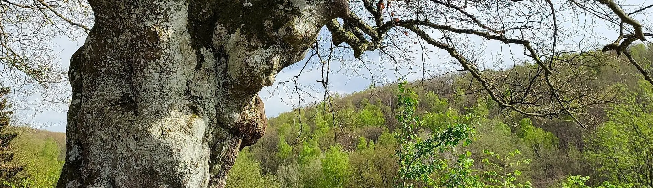 Wandern mit der DAV Sektion Siegerland | © Sektion/CW