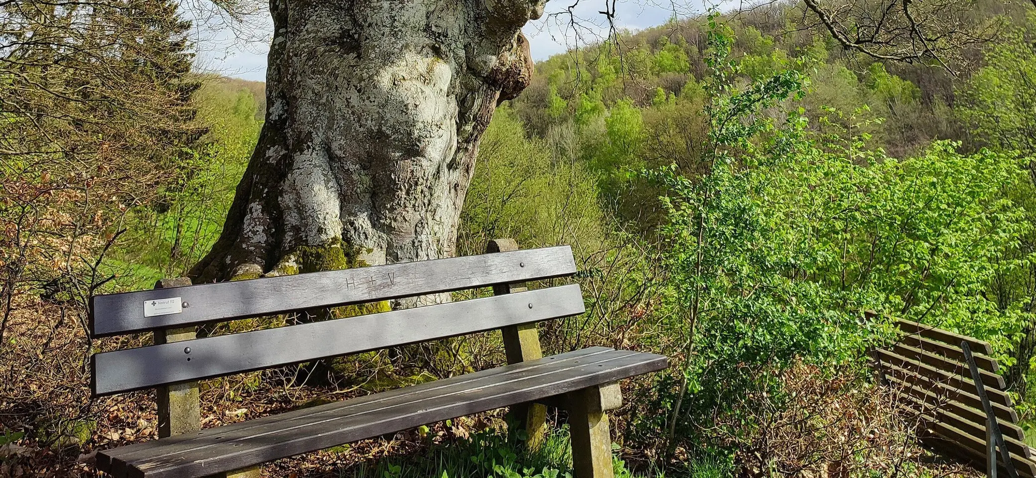 Wandern mit der DAV Sektion Siegerland | © Sektion/CW