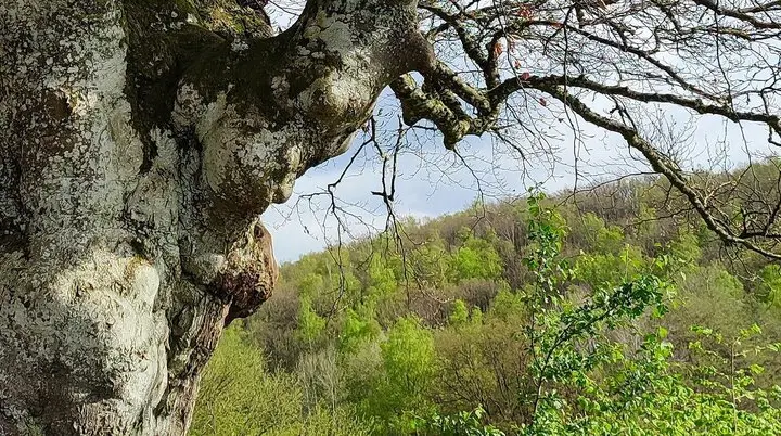 Wandern mit der DAV Sektion Siegerland | © Sektion/CW