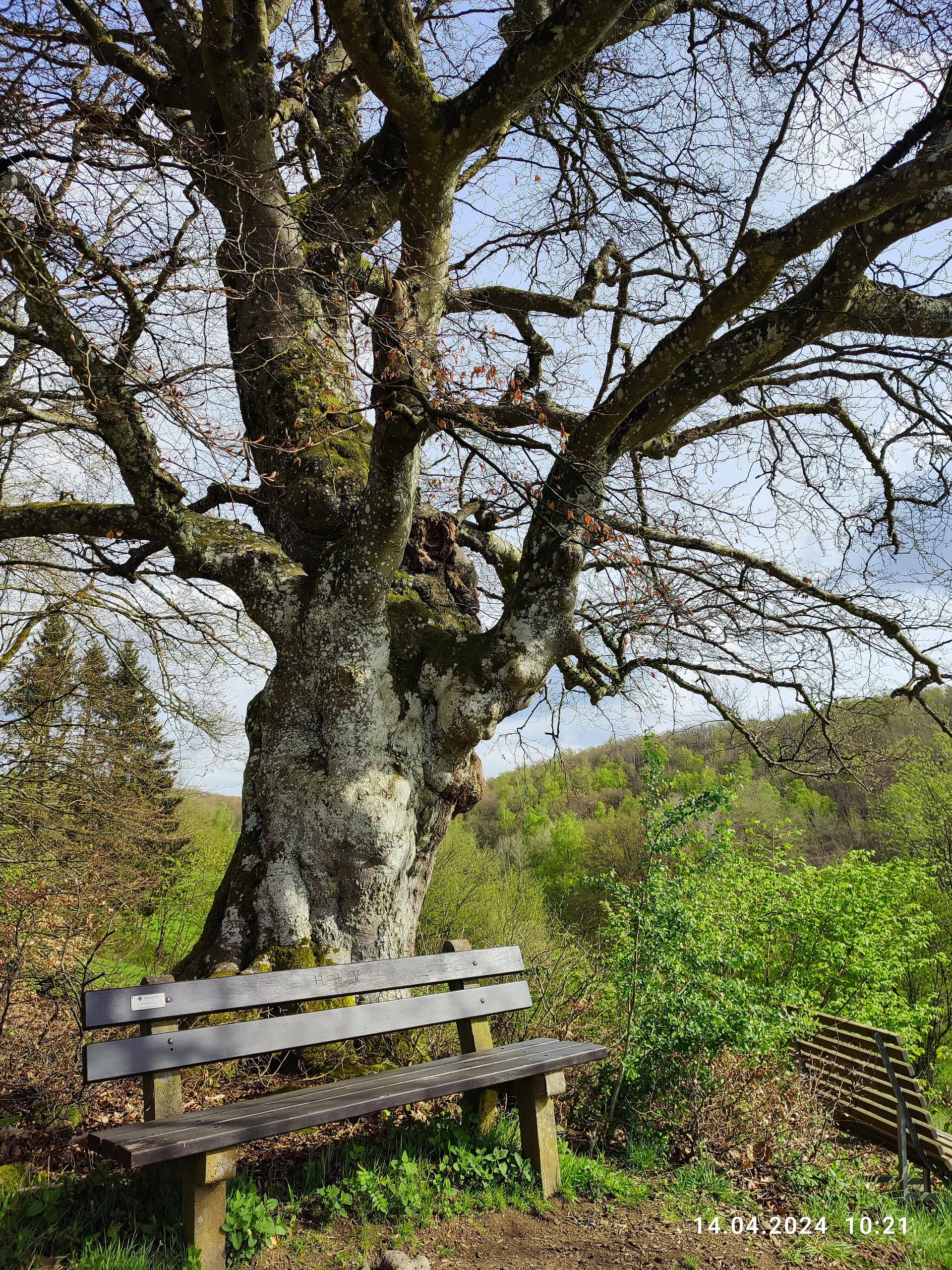 Wandern mit der DAV Sektion Siegerland | © Sektion/CW