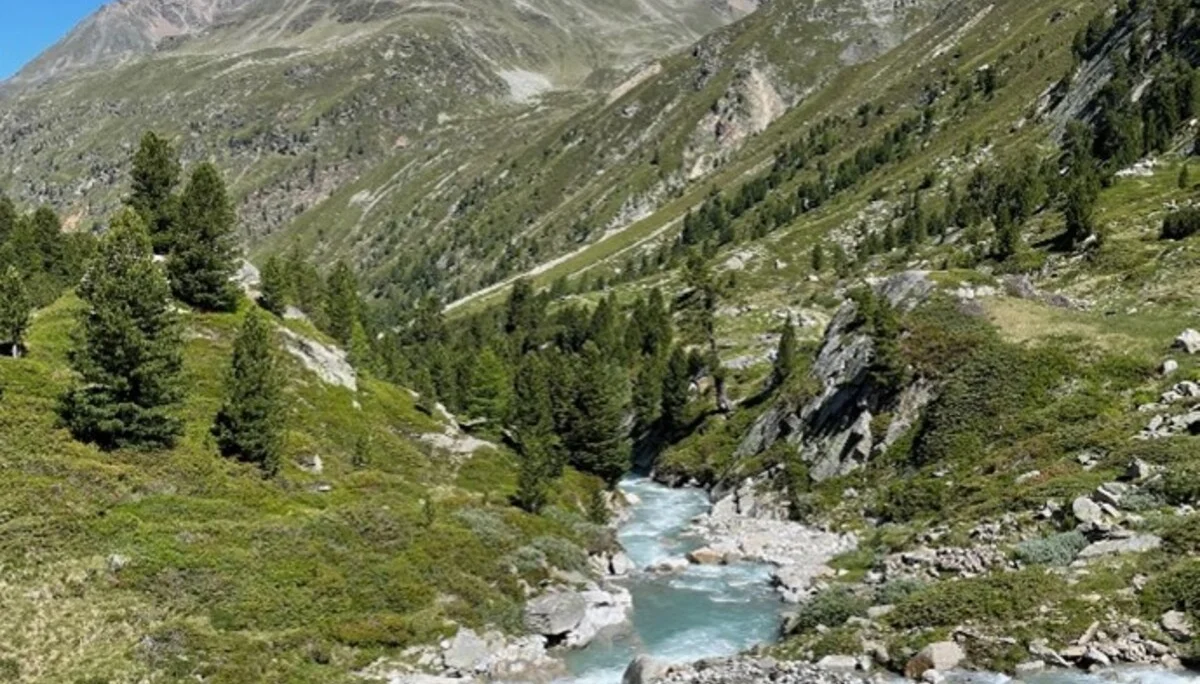 Arbeitseinsatz auf der Siegerlandhütte 2025 | © Julia Bieler