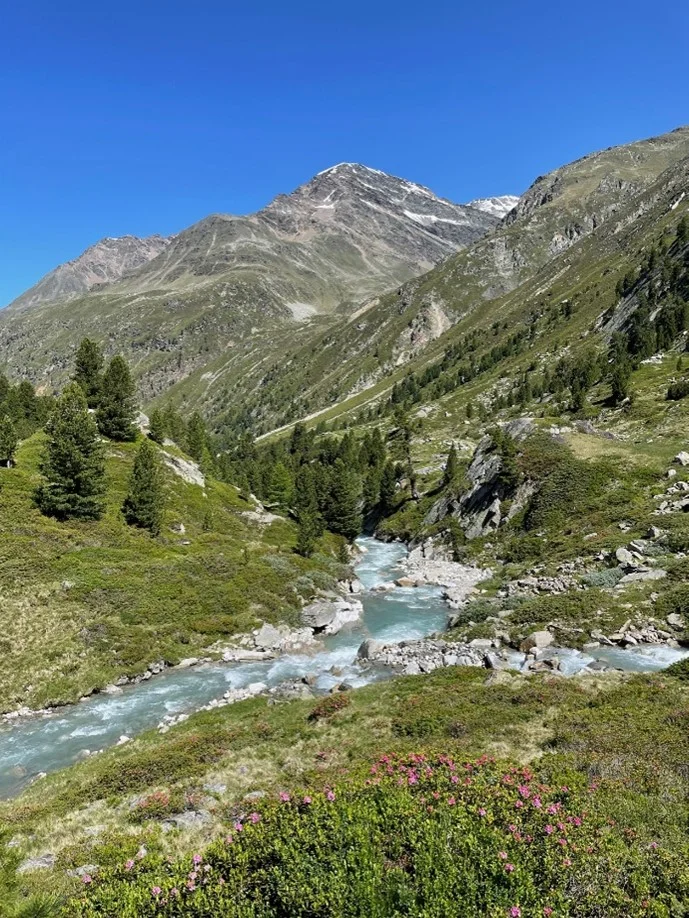 Arbeitseinsatz auf der Siegerlandhütte 2025 | © Julia Bieler