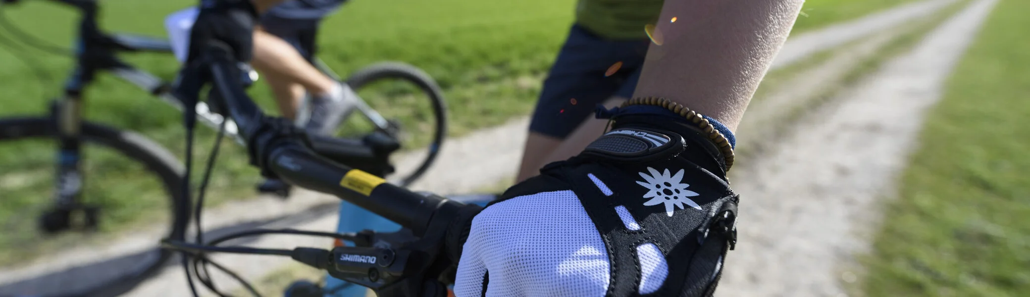 Zwei Personen fahren mit ihren Mountainbikes durch die Natur. Im Hintergrund die Berge. | © DAV/Wolfgang Ehn