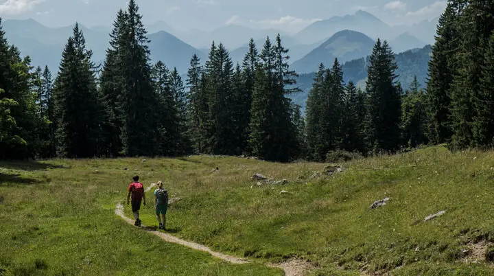 Zwei Wanderer auf einem Bergpfad in den Chiemgauer Alpen | © DAV/Hans Herbig