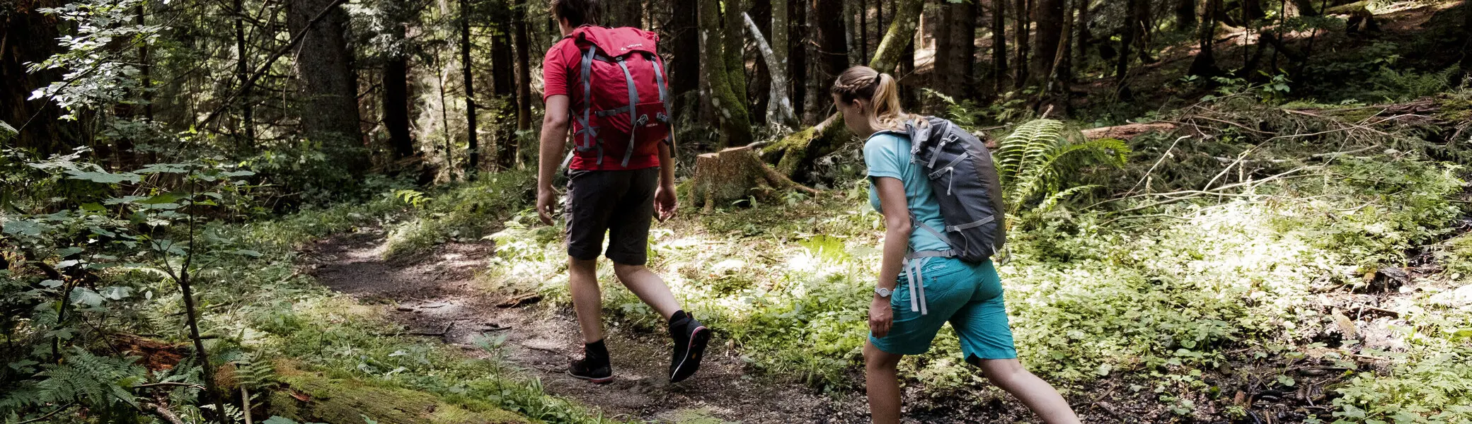 Zwei Wanderer auf dem Weg durch einen Wald | © DAV/Hans Herbig