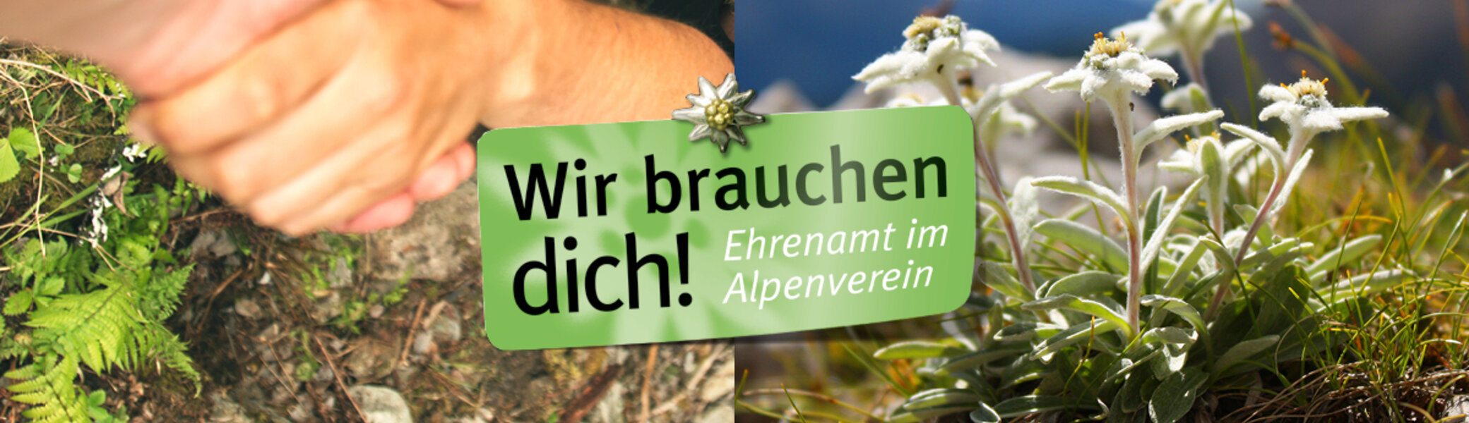Bildmotiv "Ehrenamt: Wir brauchen Dich" - Imagefoto | © DAV